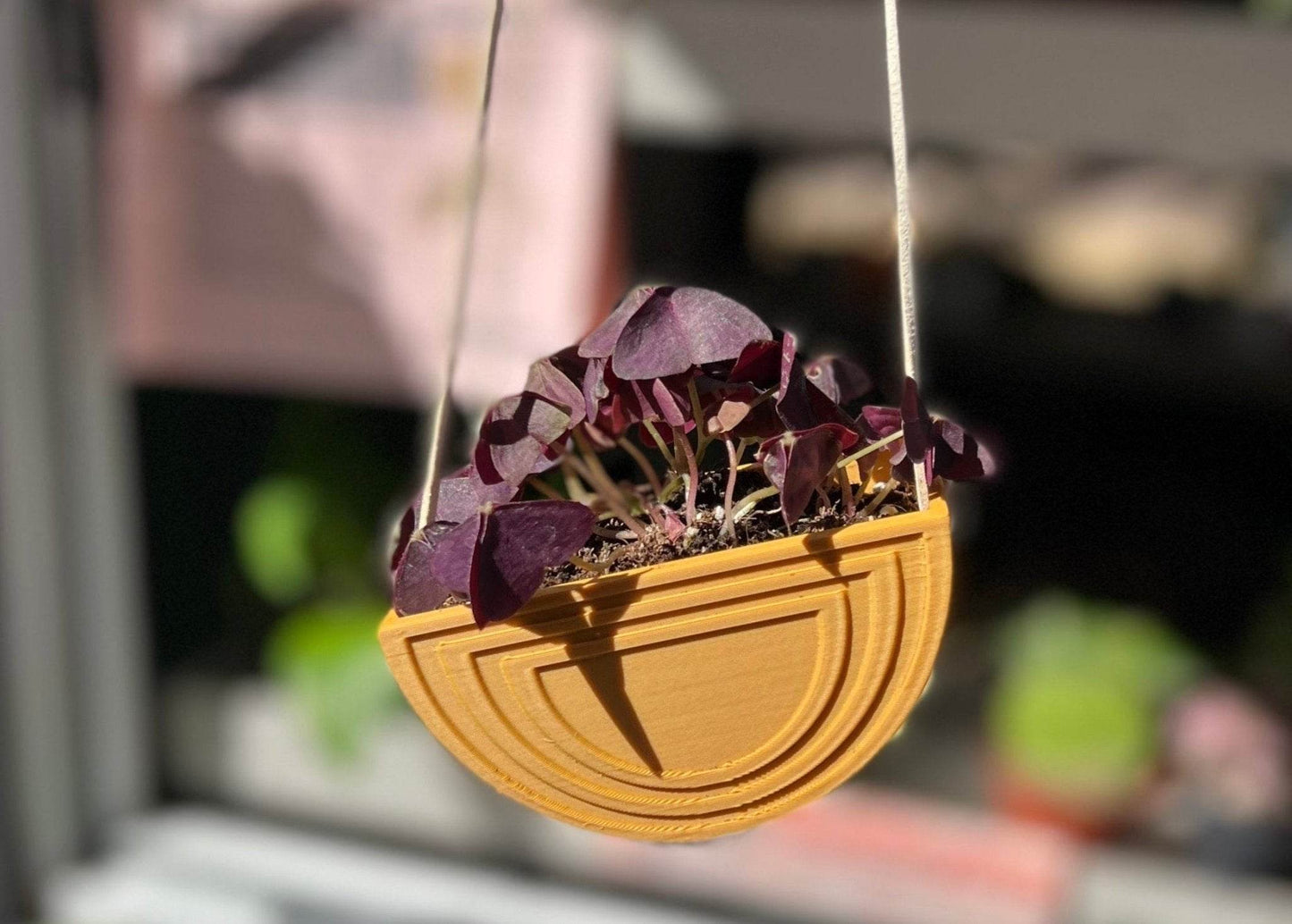 Hanging Rainbow Planter - My American Goods