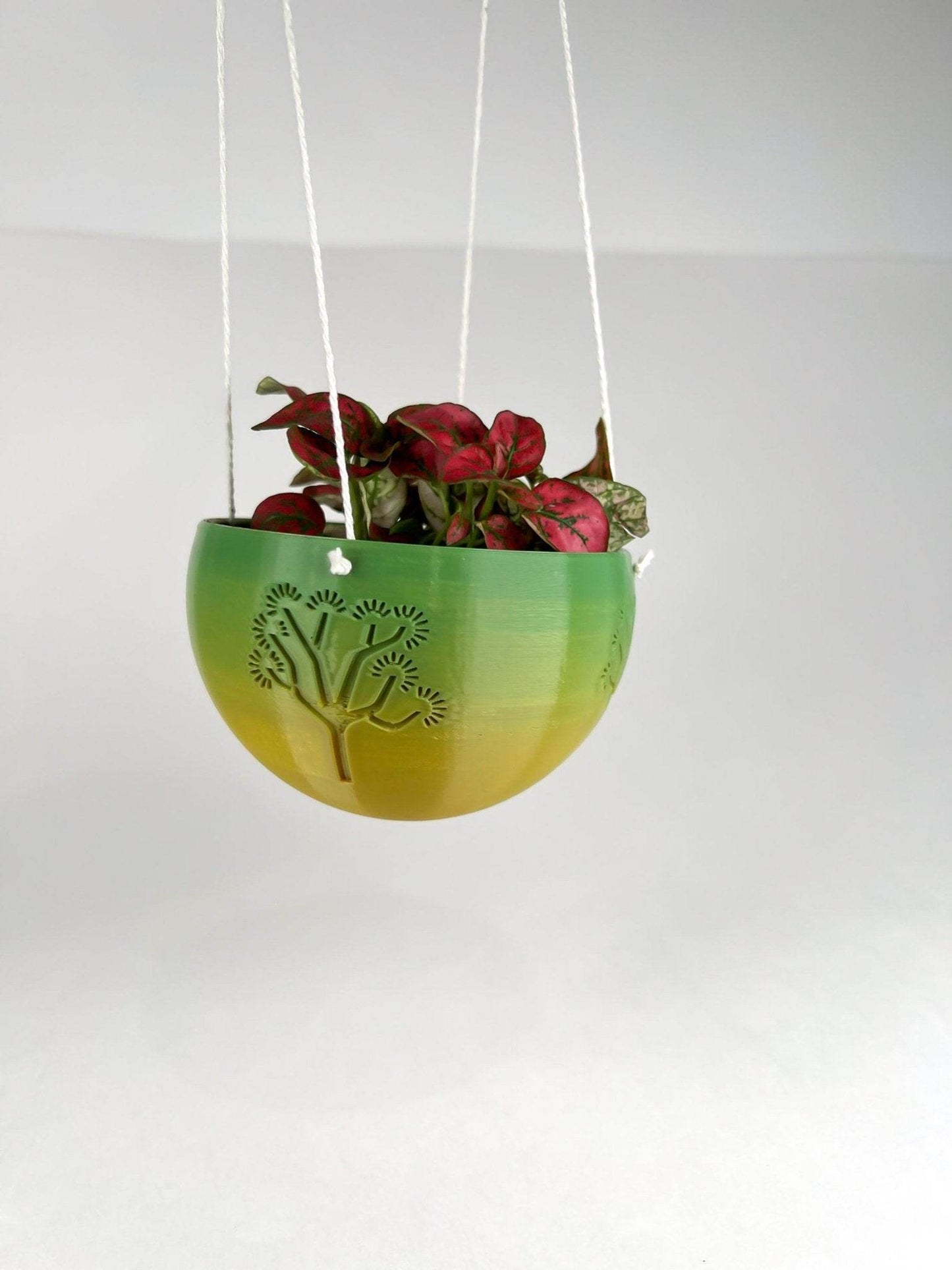 Hanging Joshua Tree Planter - My American Goods