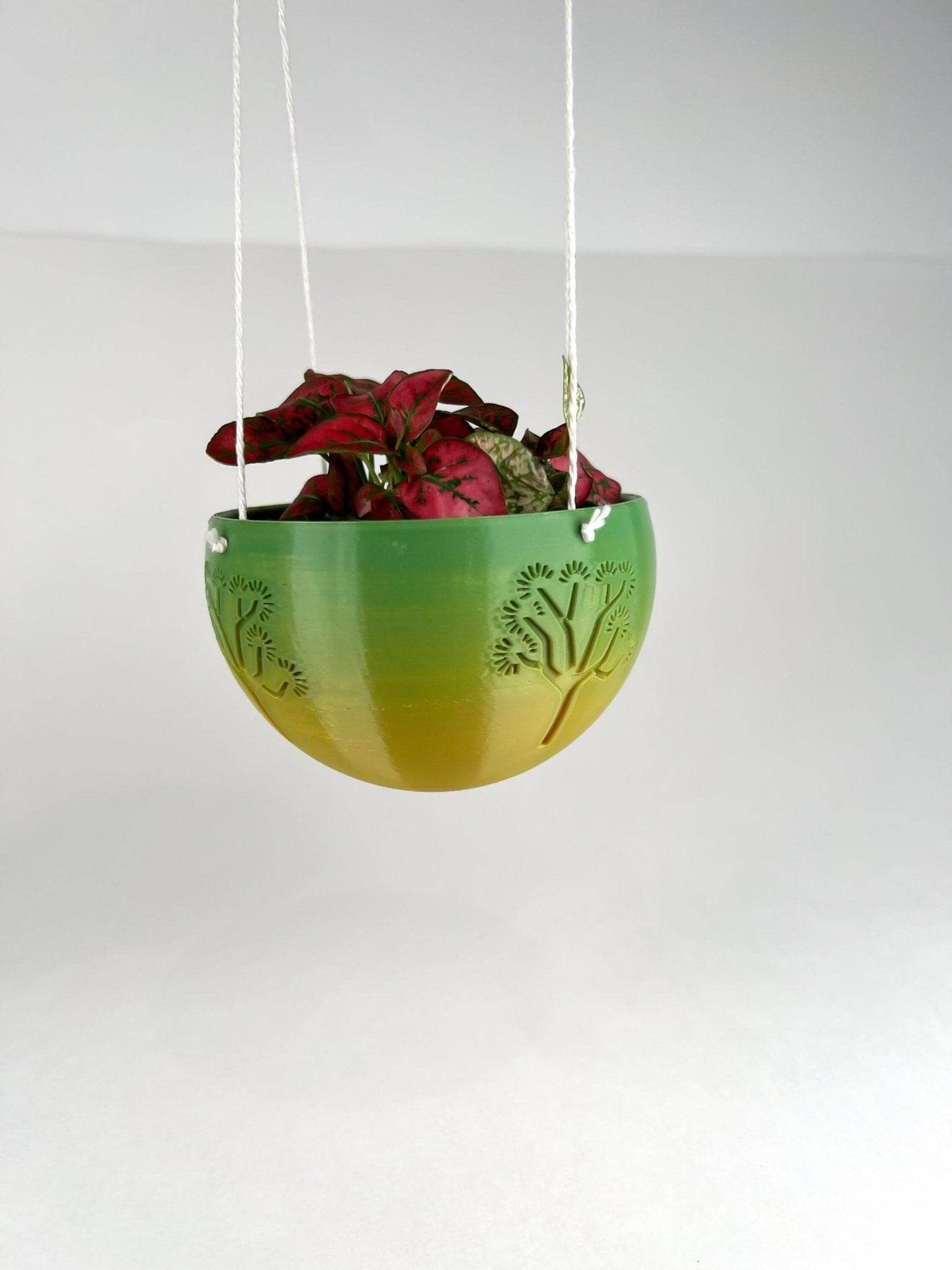 Hanging Joshua Tree Planter - My American Goods