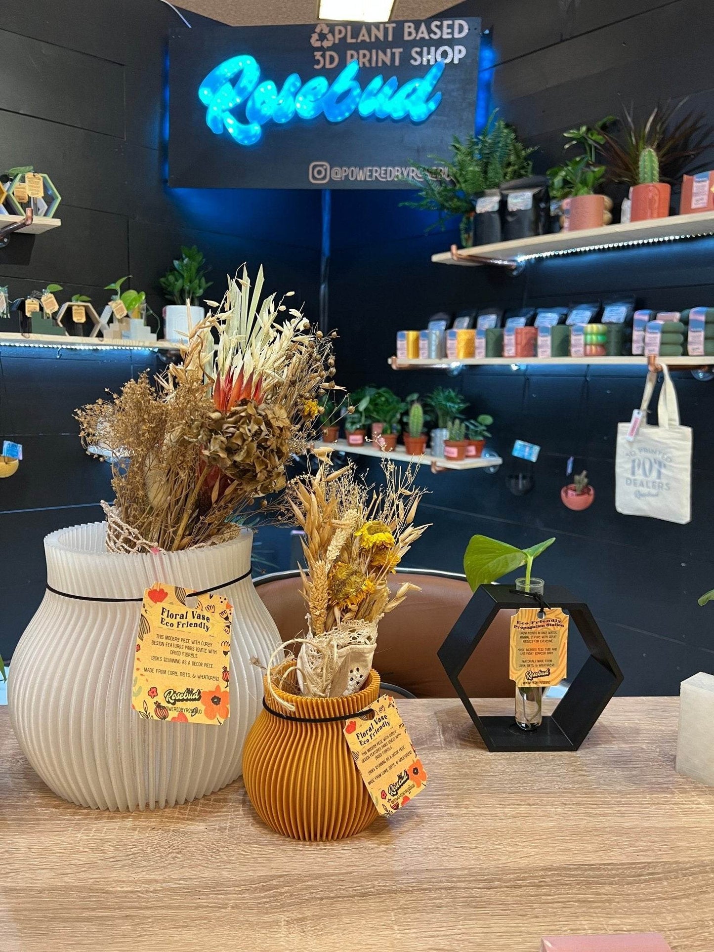 ONDA Dry Vase for Dried Flower Arrangement - My American Goods