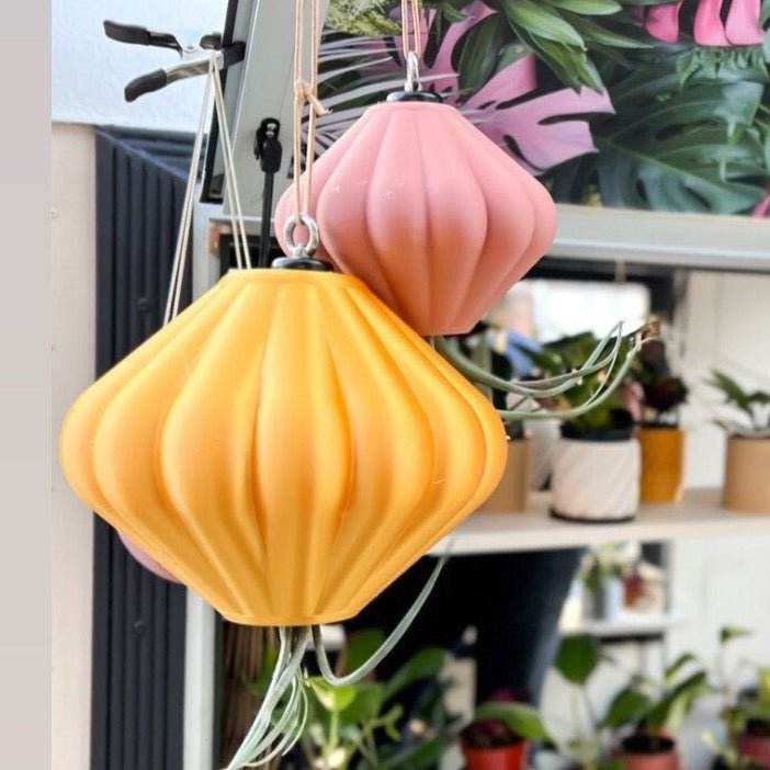 MAGNETIC Air Planter, JellyFish, Air Plant Included - My American Goods