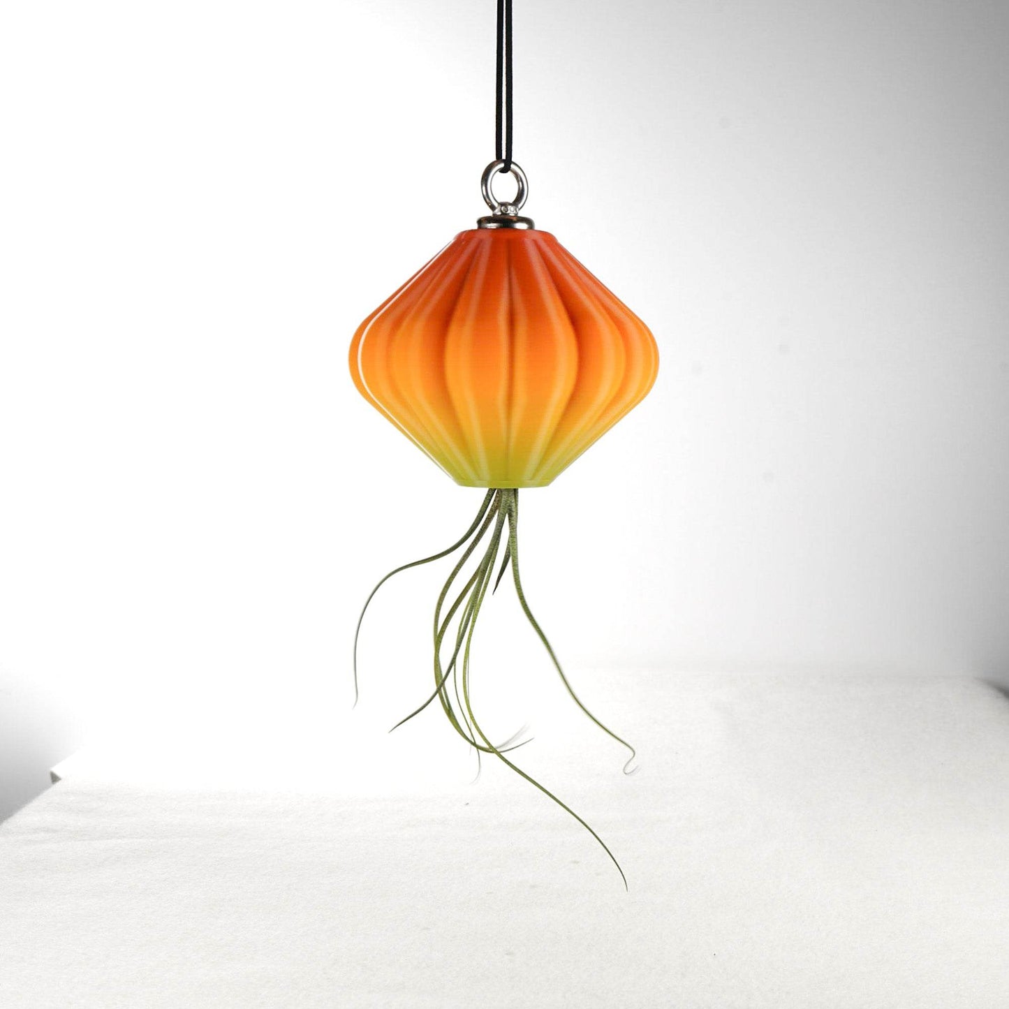 MAGNETIC Air Planter, JellyFish, Air Plant Included - My American Goods
