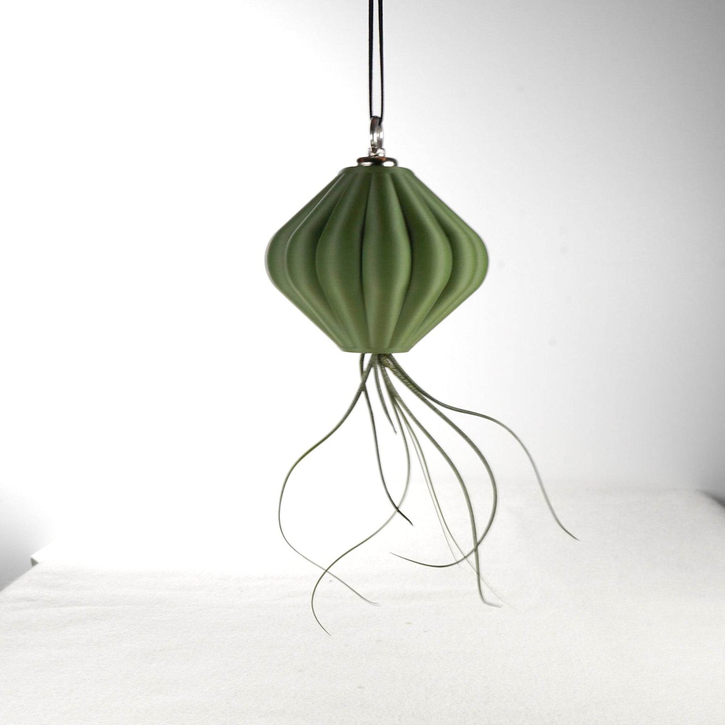 MAGNETIC Air Planter, JellyFish, Air Plant Included - My American Goods