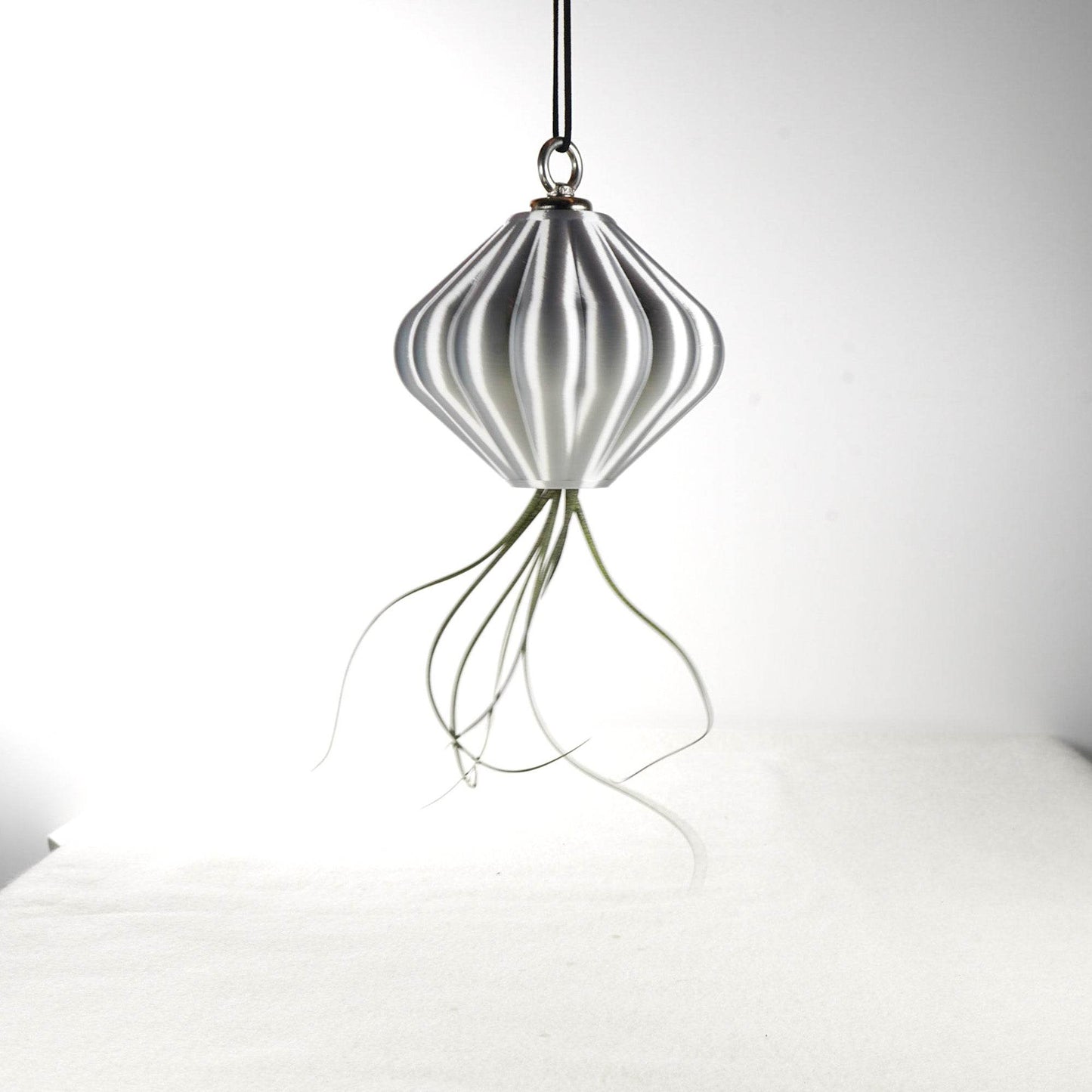 MAGNETIC Air Planter, JellyFish, Air Plant Included - My American Goods