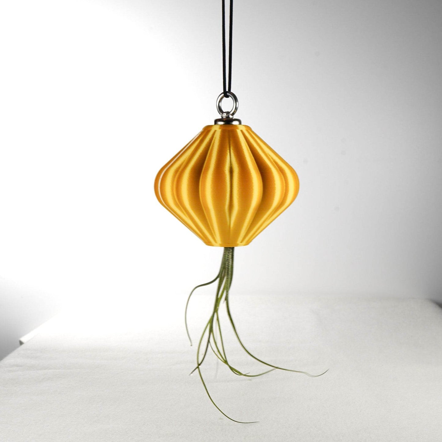 MAGNETIC Air Planter, JellyFish, Air Plant Included - My American Goods