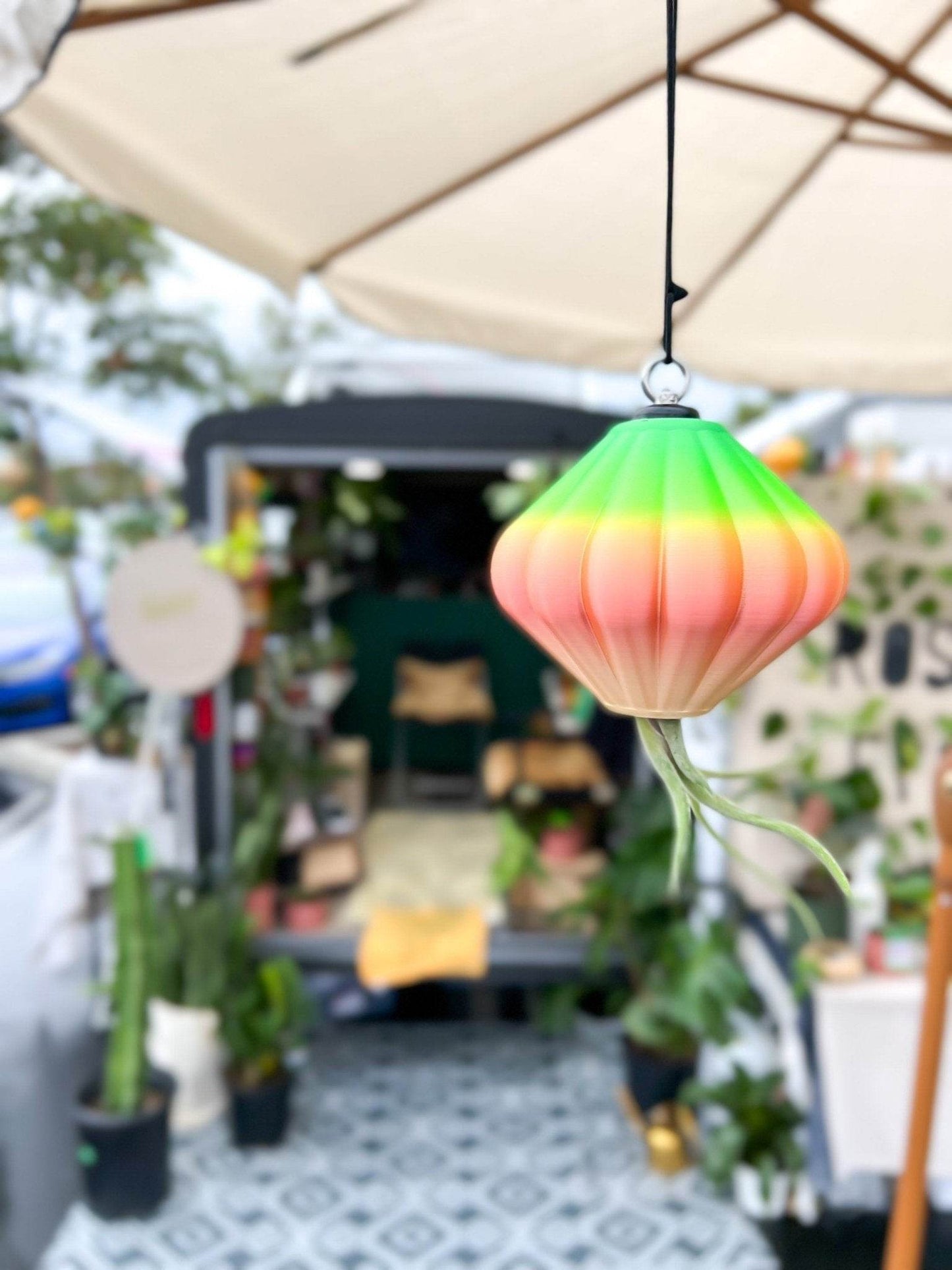 MAGNETIC Air Planter, JellyFish, Air Plant Included - My American Goods