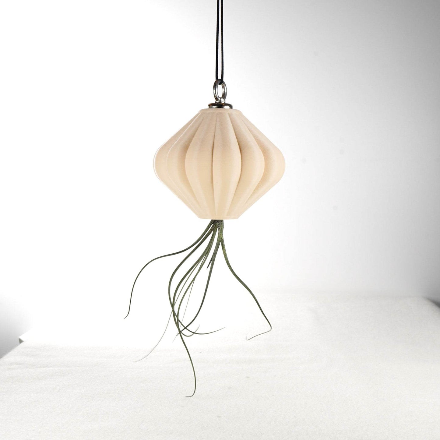 MAGNETIC Air Planter, JellyFish, Air Plant Included - My American Goods