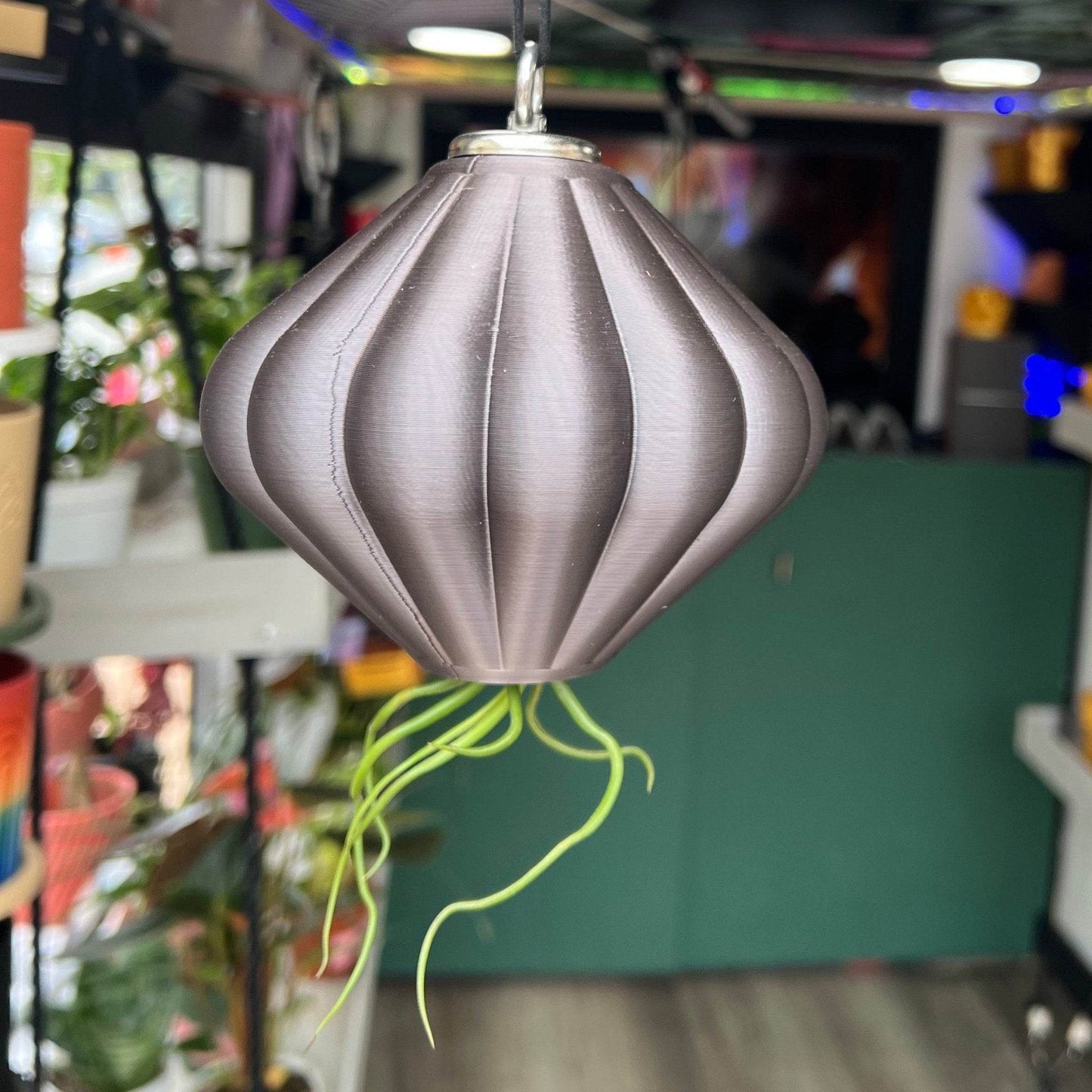 MAGNETIC Air Planter, JellyFish, Air Plant Included - My American Goods