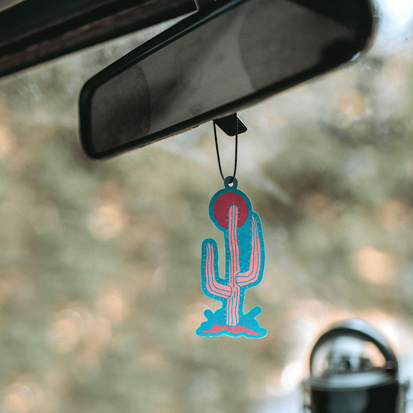Good & Well Supply Co. Vehicle Air Fresheners Saguaro National Park Air Freshener