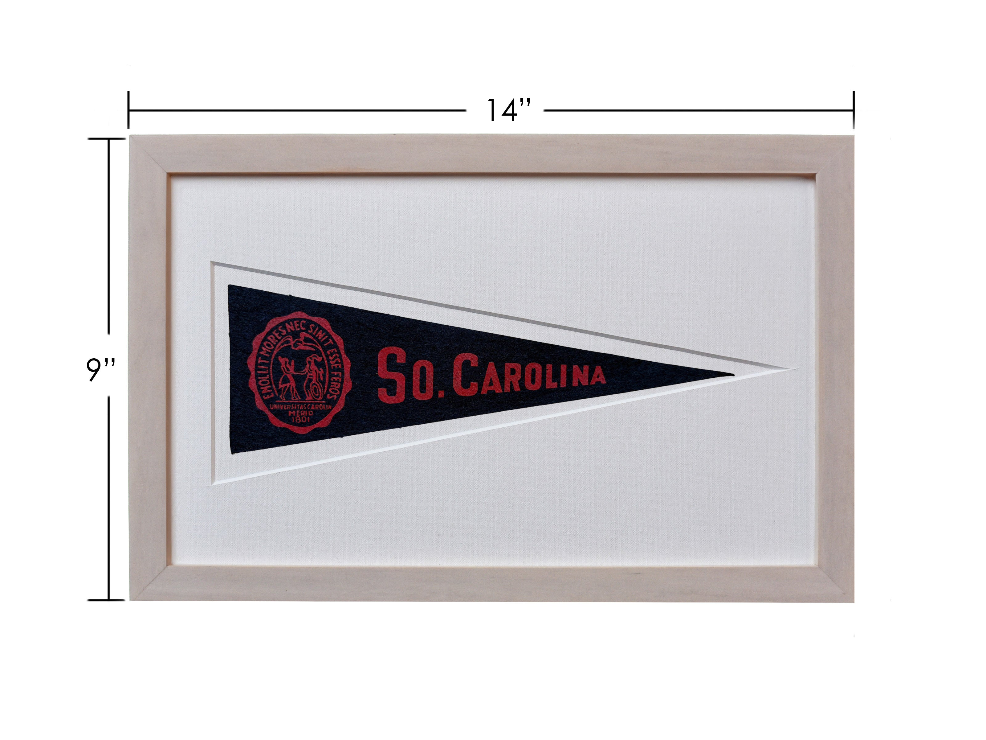 Vintage University of South Carolina Hormel Pennant
