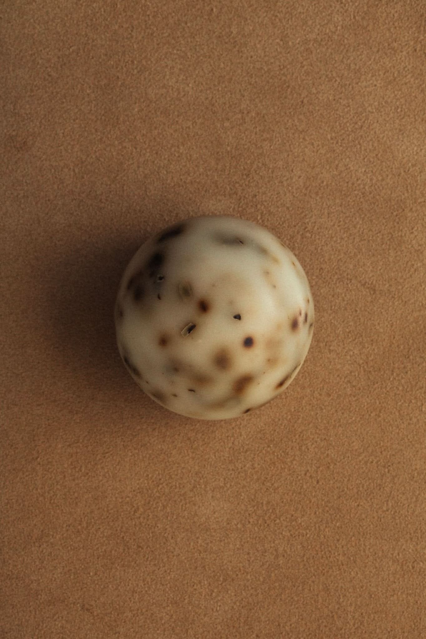 Summer Solace Tallow Tallow Soap Sea Change – Seaweed Sphere Soap | Bladderwrack & Neroli