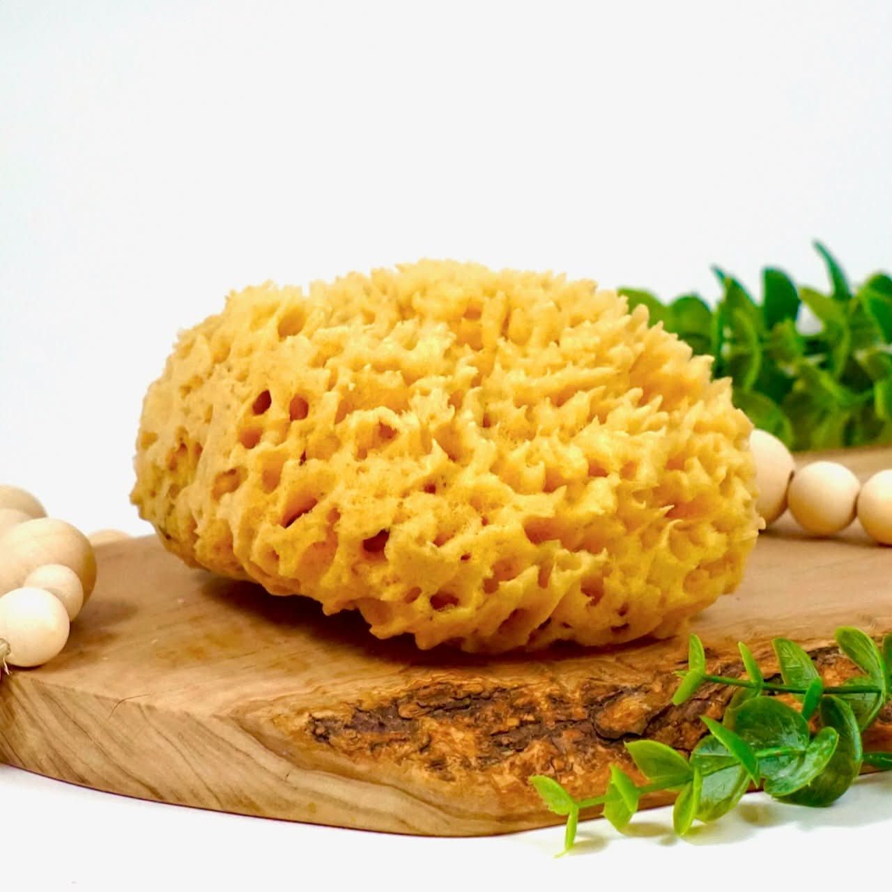 Sea Sponge, Sustainably Harvested - My American Goods