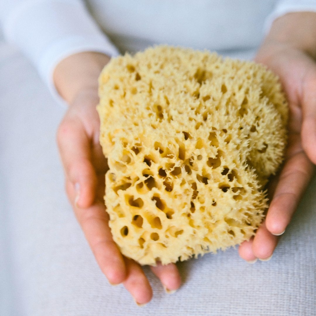 Sea Sponge, Sustainably Harvested - My American Goods