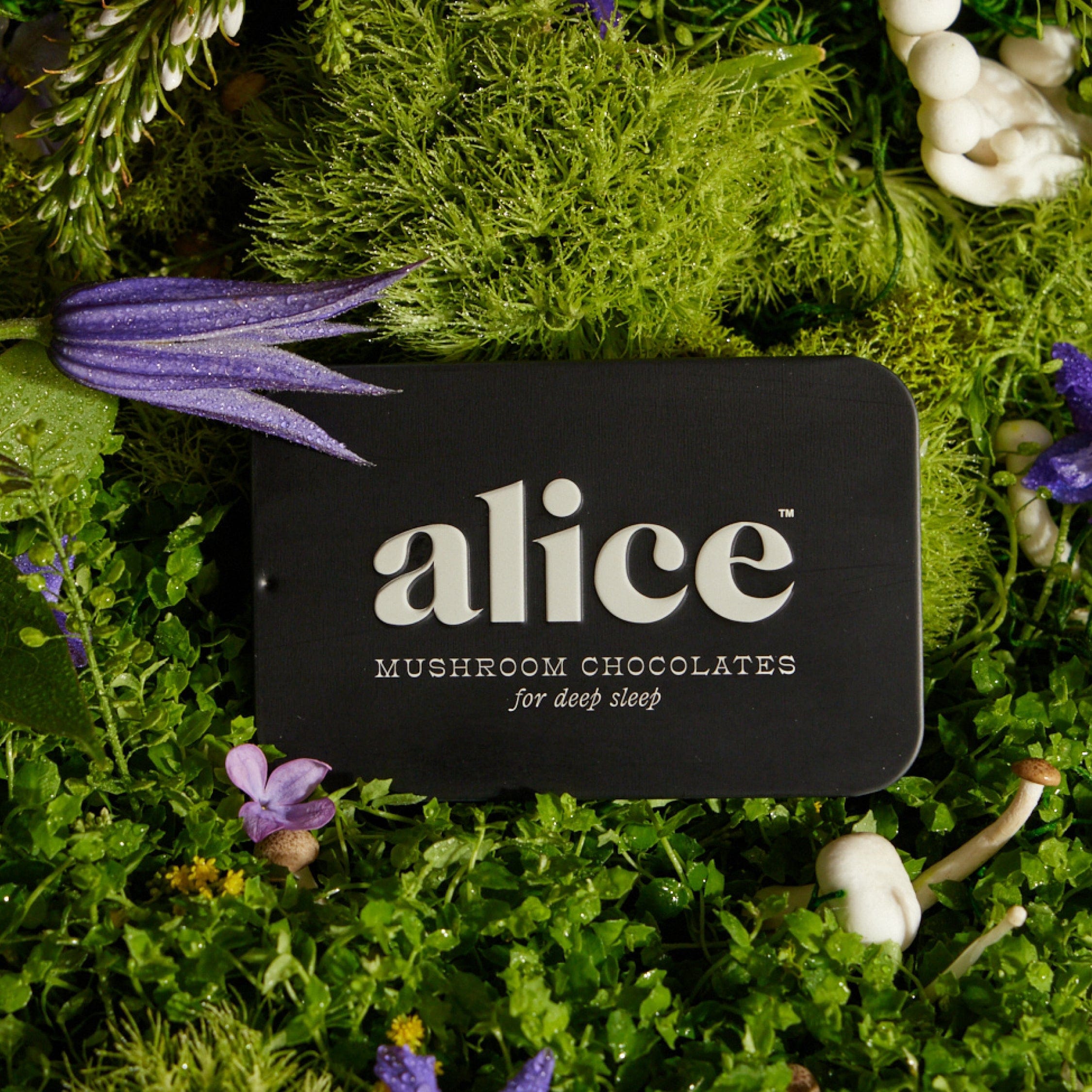 alice mushrooms Vitamins & Supplements Nightcap Functional Mushroom Chocolates