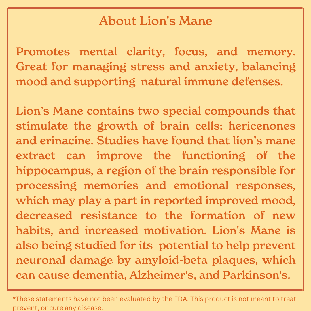 Lion's Mane Tincture 2 oz - My American Goods