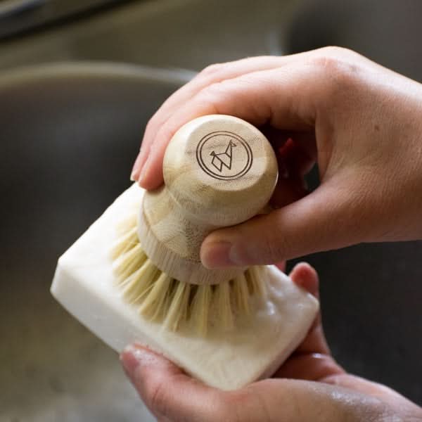 Green Llama Starter Kit Soap Eco-Friendly Dish Washing Starter Pack - Sparkling Clean & Green