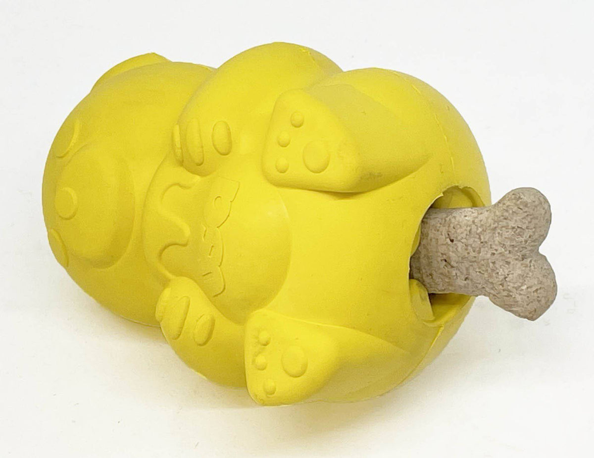 Honey Bear eDispenser - Durable Rubber Treat Dispenser for Dogs | USA Made