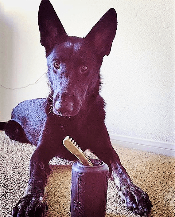 Magnum Can Toy Rubber Dog Chew Toy for Extreme Chewers | Treat Dispenser | USA Made