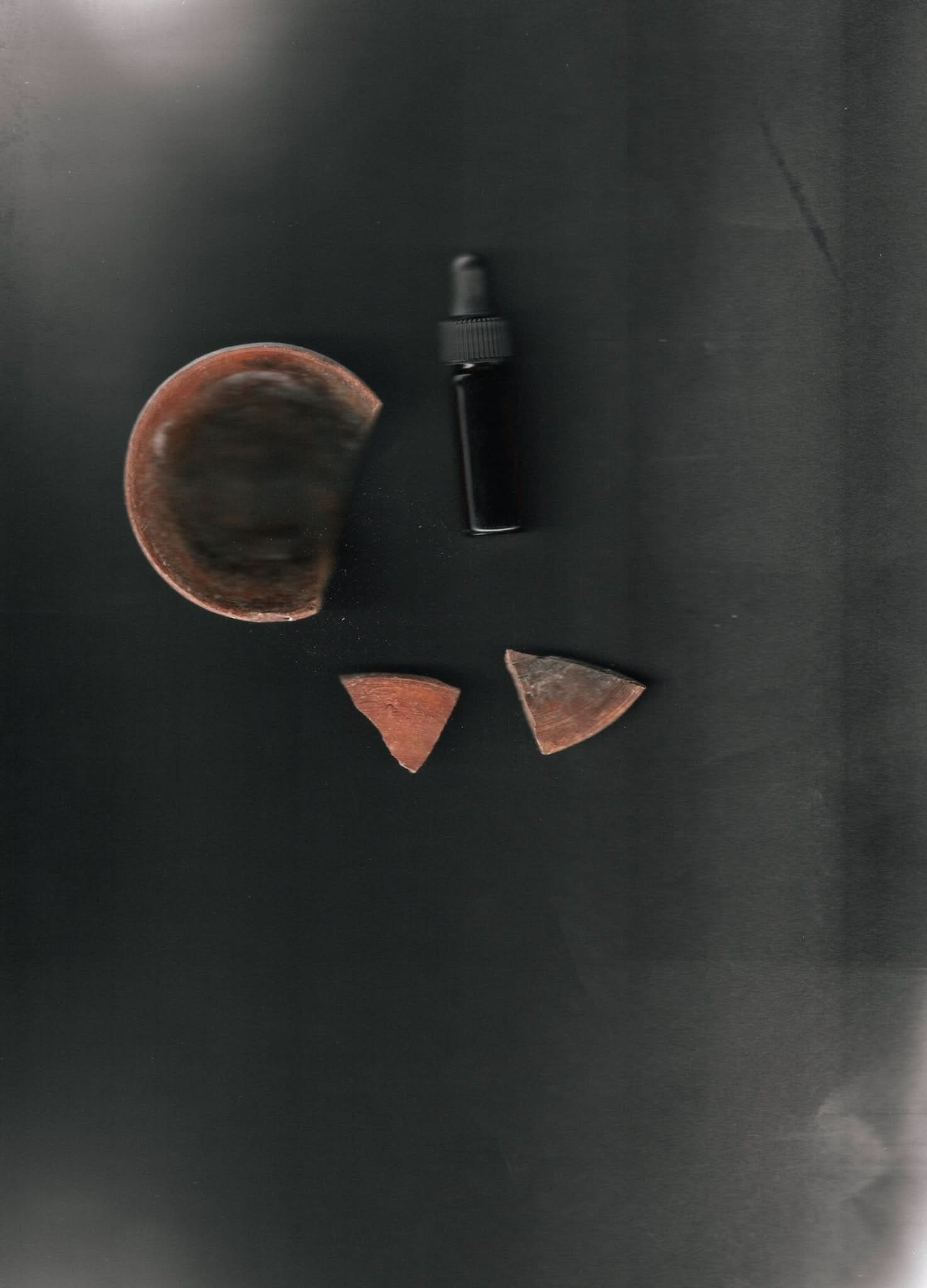 Souchong Debut – Tallow Travel Candle | Black Tea & Vetiver - My American Goods