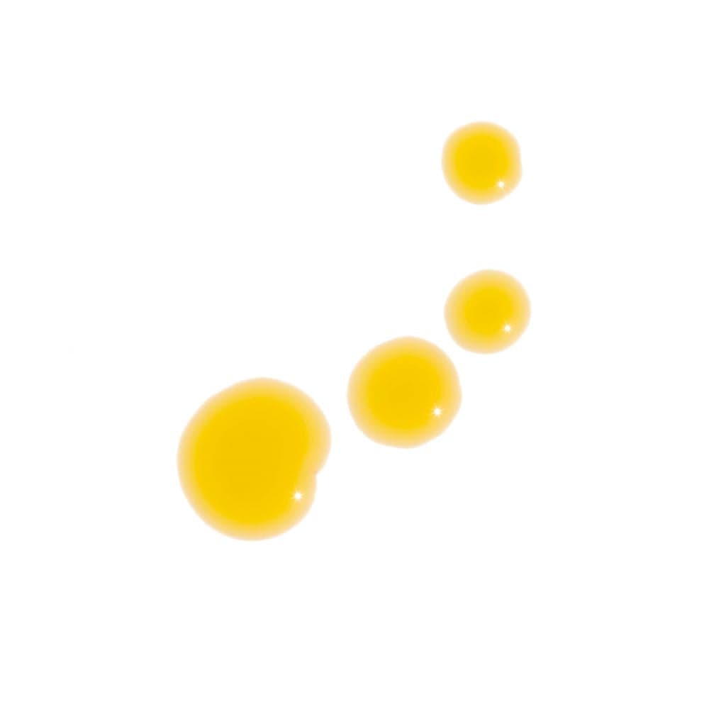 Sun Worshiper Regenerative Serum | Experience Samples - My American Goods