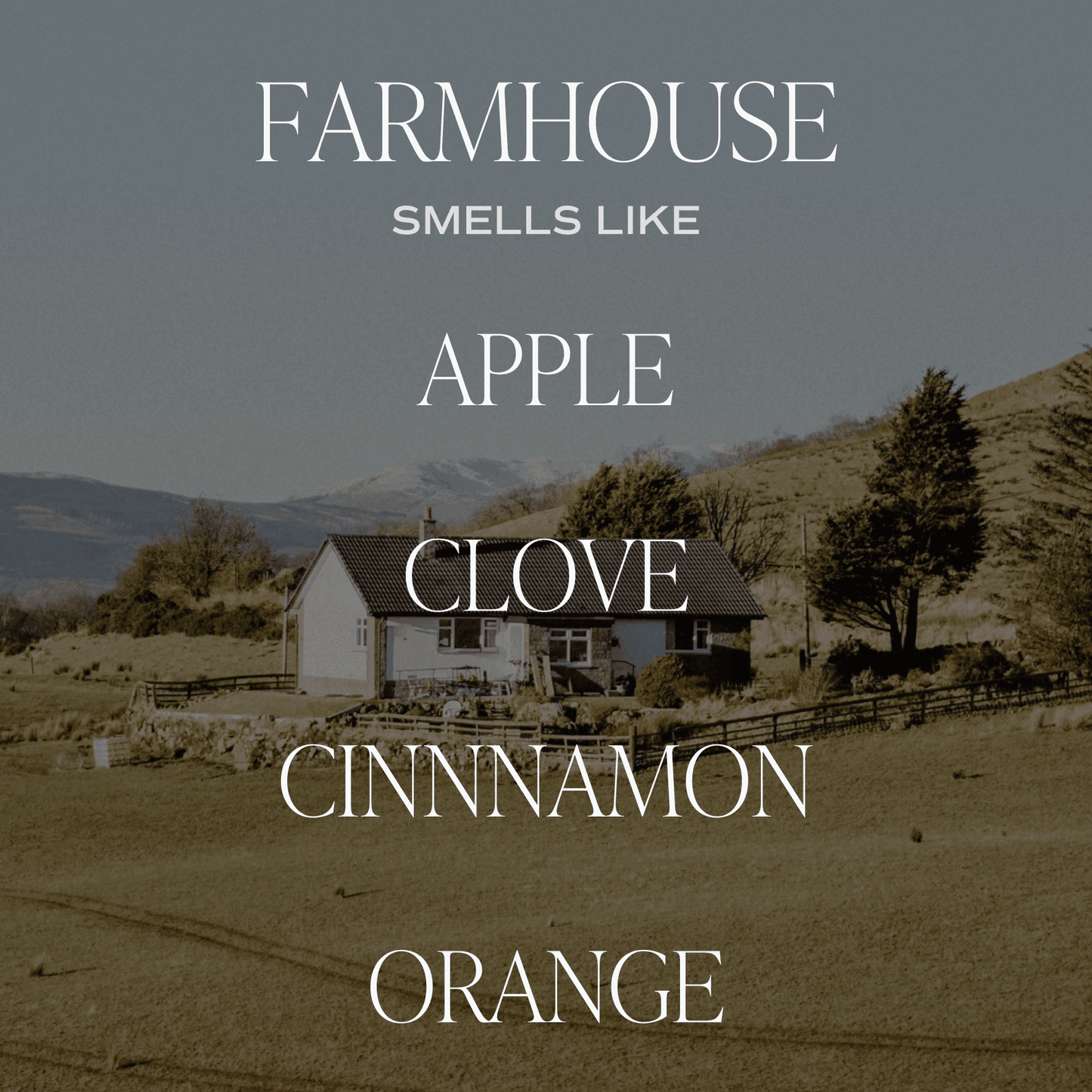 Farmhouse Amber Reed Diffuser - My American Goods