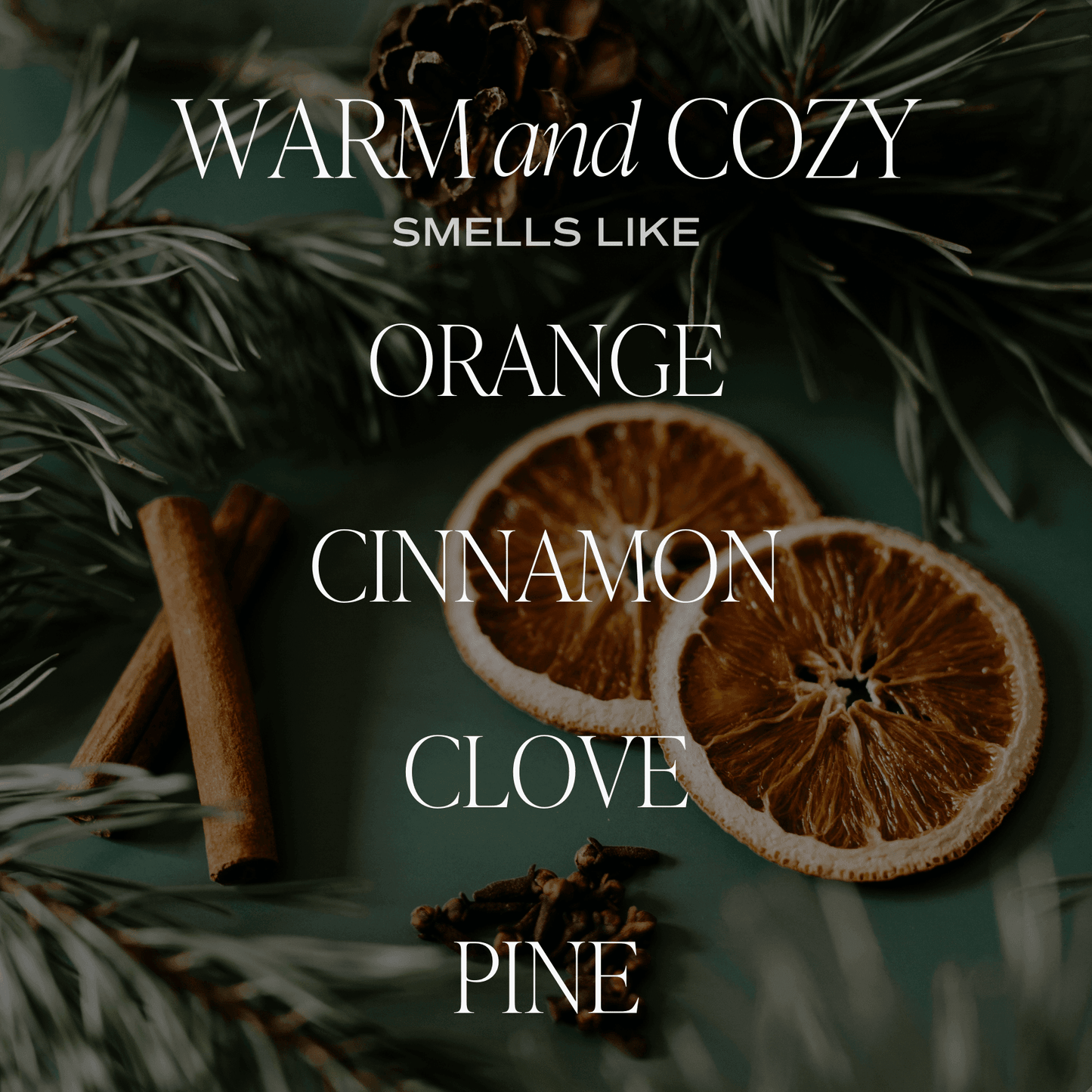 Warm and Cozy Clear Reed Diffuser - My American Goods