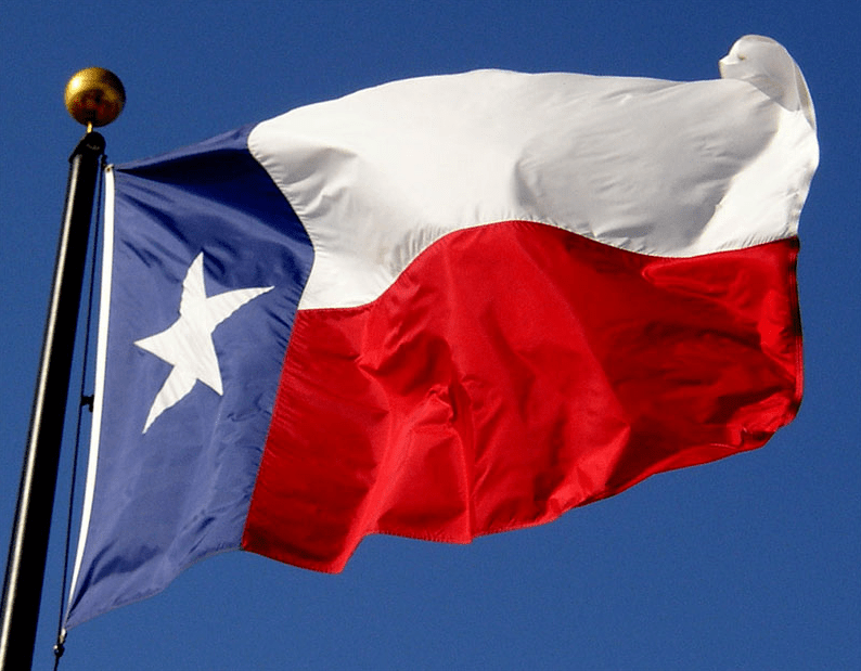 Flags Unlimited USA Nylon State Flags Texas