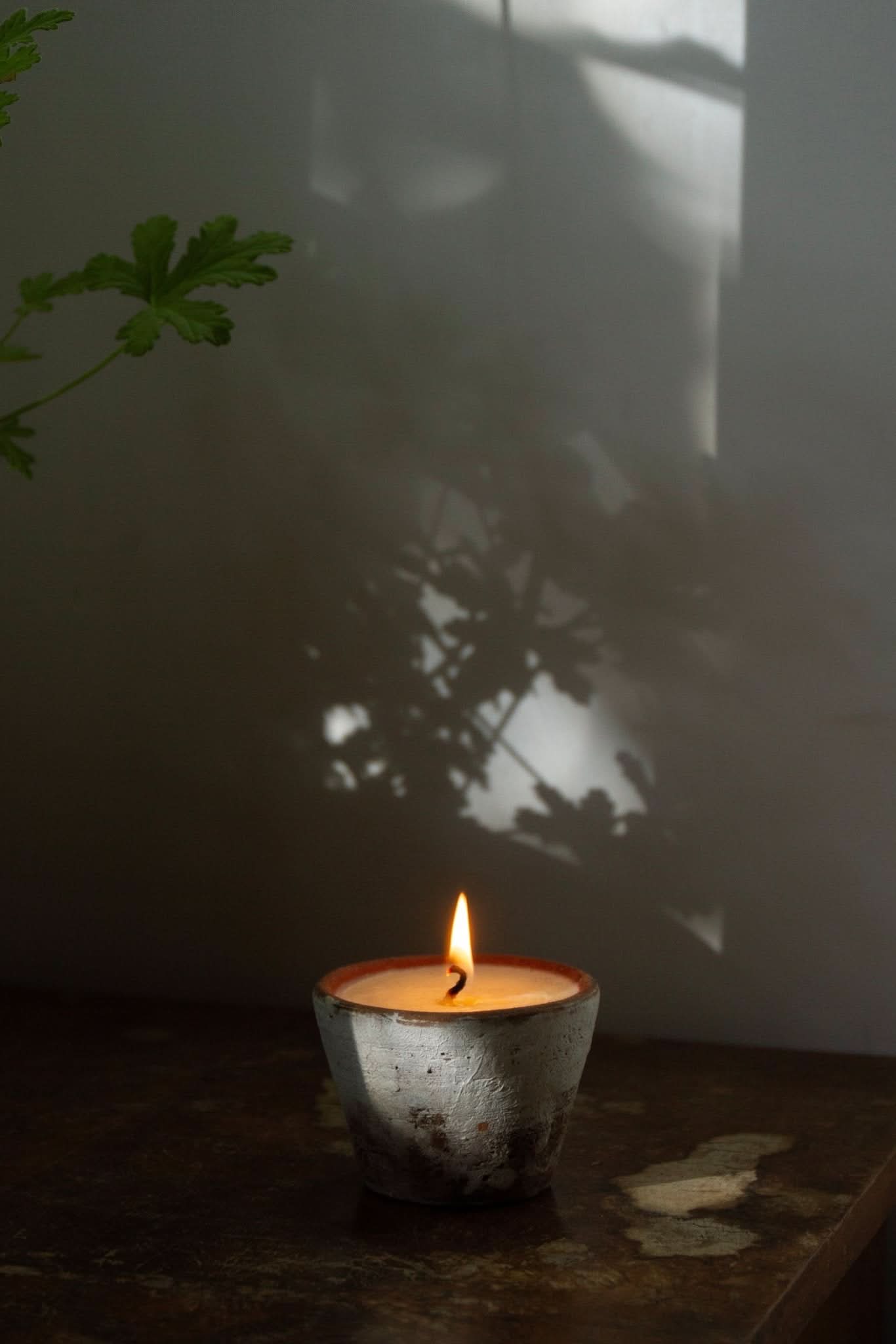 Souchong Debut Earthen Tallow Candle – Smoke-Brushed Terracotta Vessel 4 oz - My American Goods