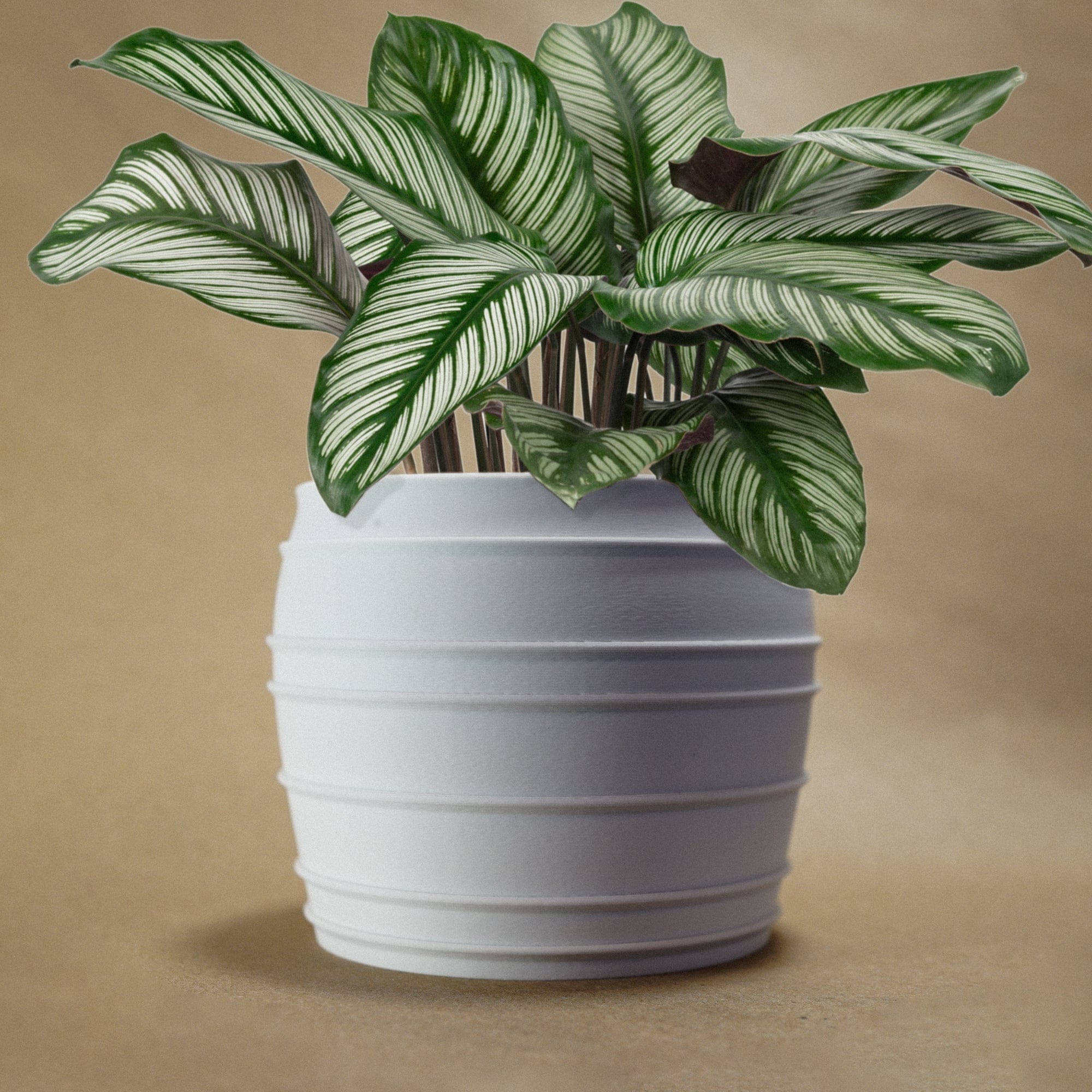 Rosebud HomeGoods Pots & Planters The Vintage Siena Planter