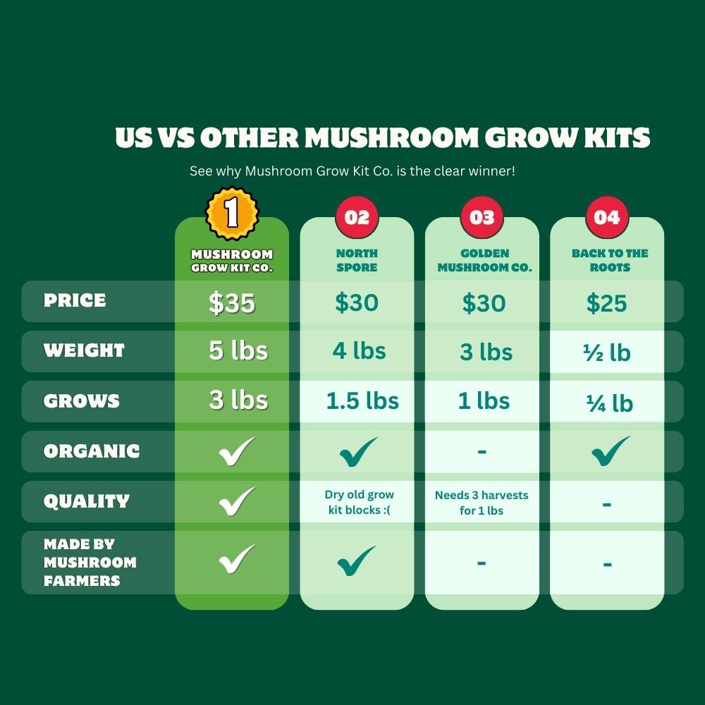 Mushroom Grow Kit Co. Oyster Mushrooms Premium Pink Oyster Mushroom Growing Kit - 5 LBS