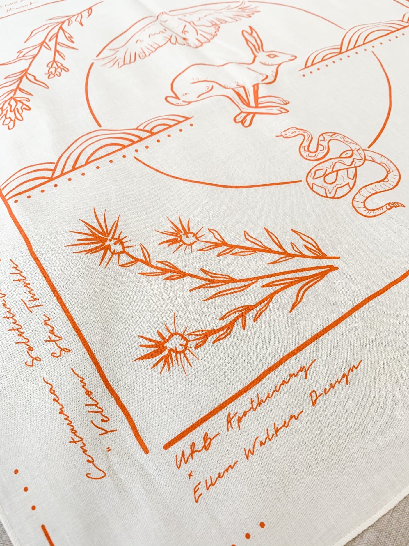 URB APOTHECARY BANDANA Field Guide Collaborative Bandana