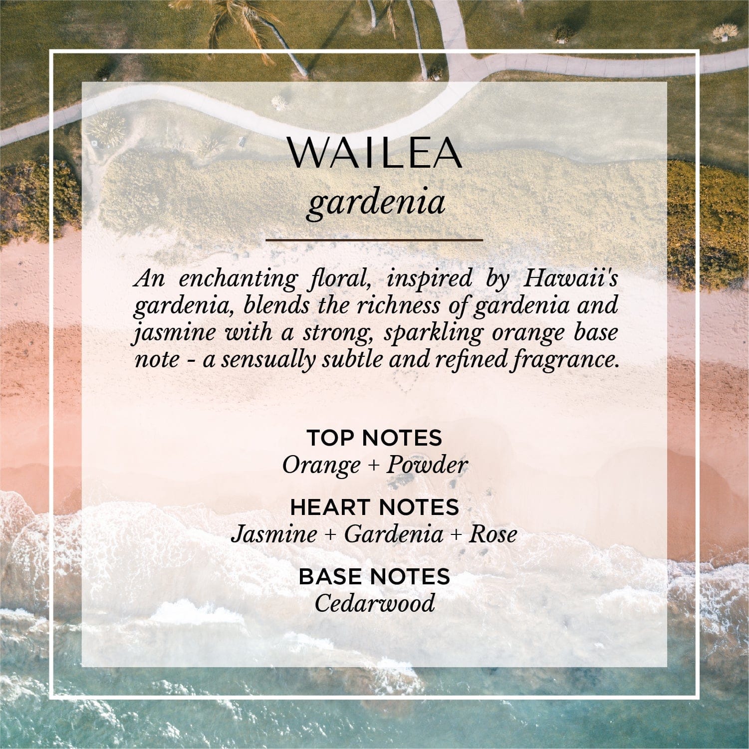 Malibu Apothecary High Gloss Wailea Black Gloss Candle