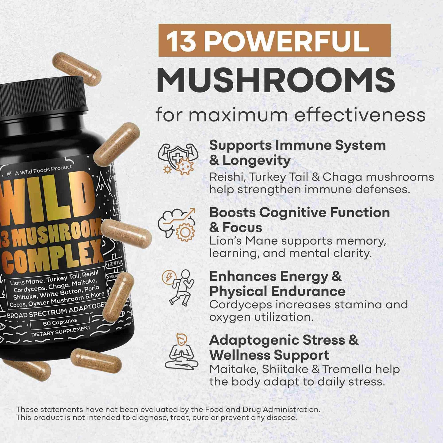 13 Mushroom Complex, 30 servings - Immunity and Longevity Support - My American Goods