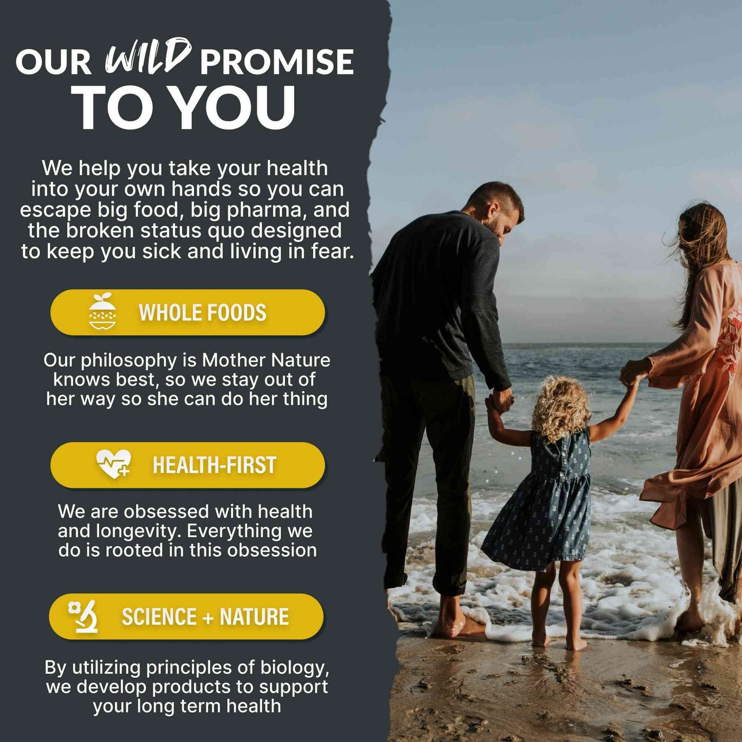Wild Man Herbal Stack – Male Hormone Balance & Performance - My American Goods