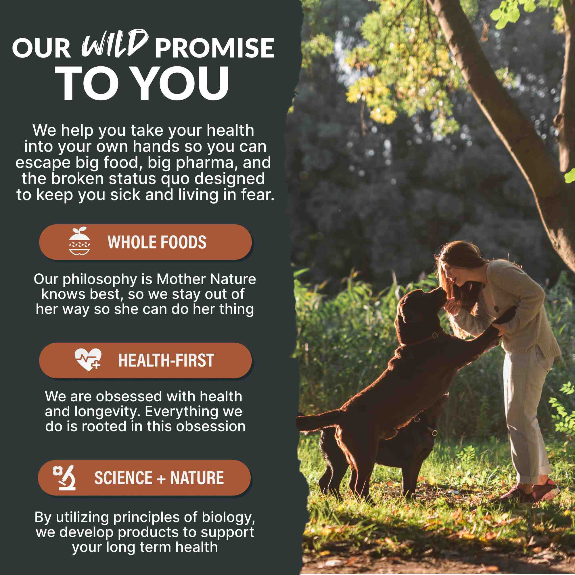 For Dogs | Bone Broth Powder - Canine Gut & Immune Support - My American Goods