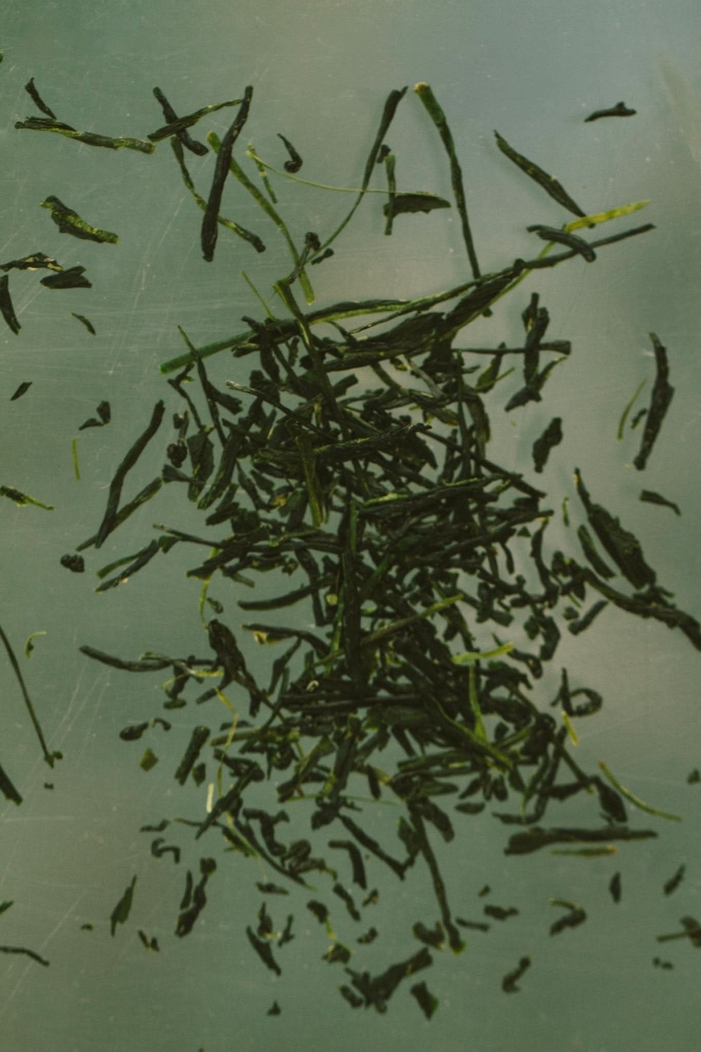 Yuzu & Sencha Soap – Invigorating Toning Bar with E3Live® - My American Goods