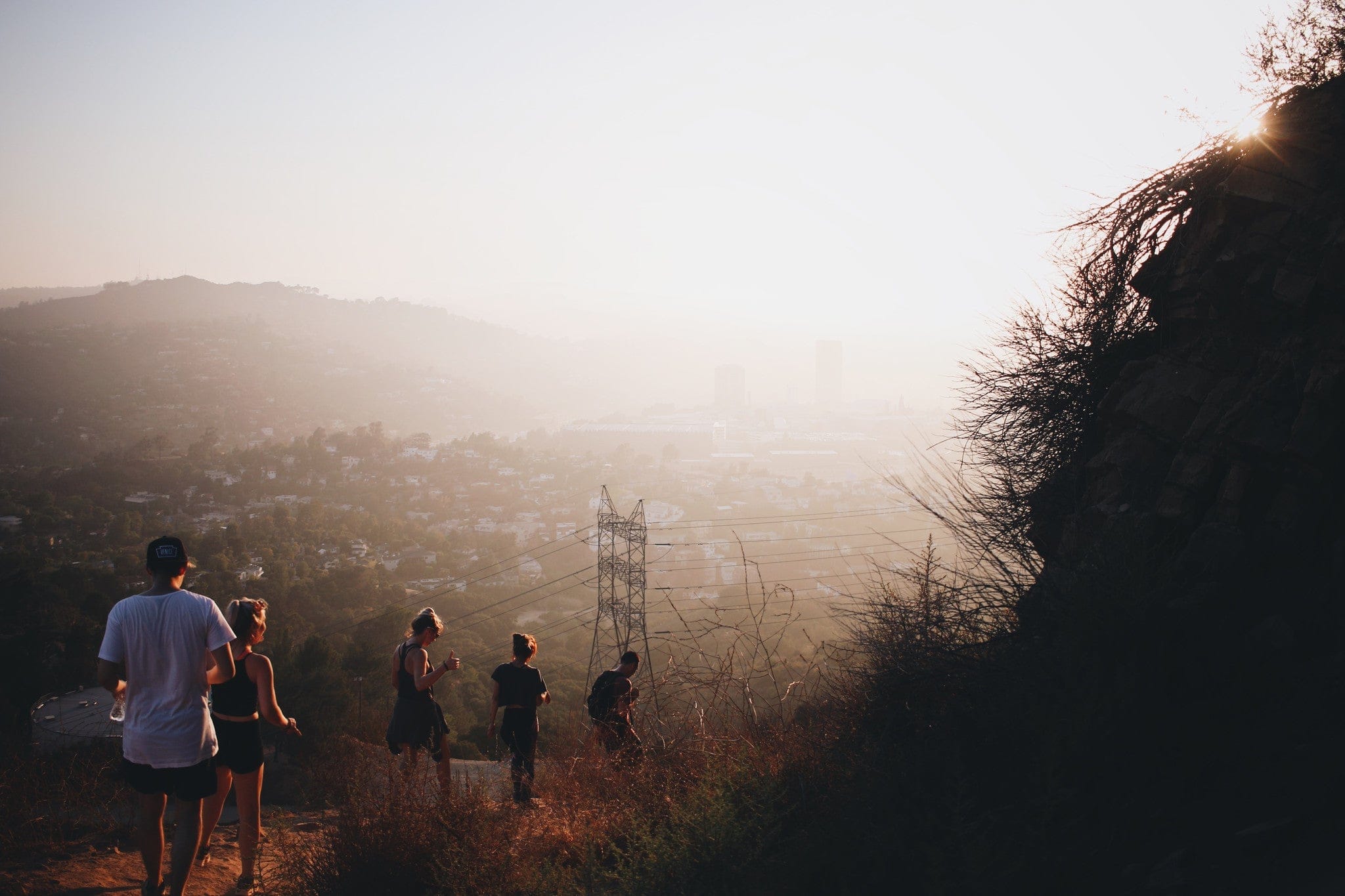 Wildsam Field Guides Los Angeles