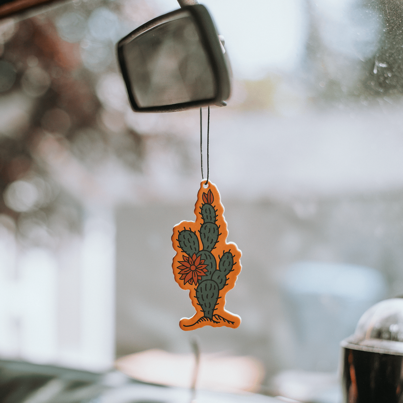 Good & Well Supply Co. Vehicle Air Fresheners Zion National Park Air Freshener
