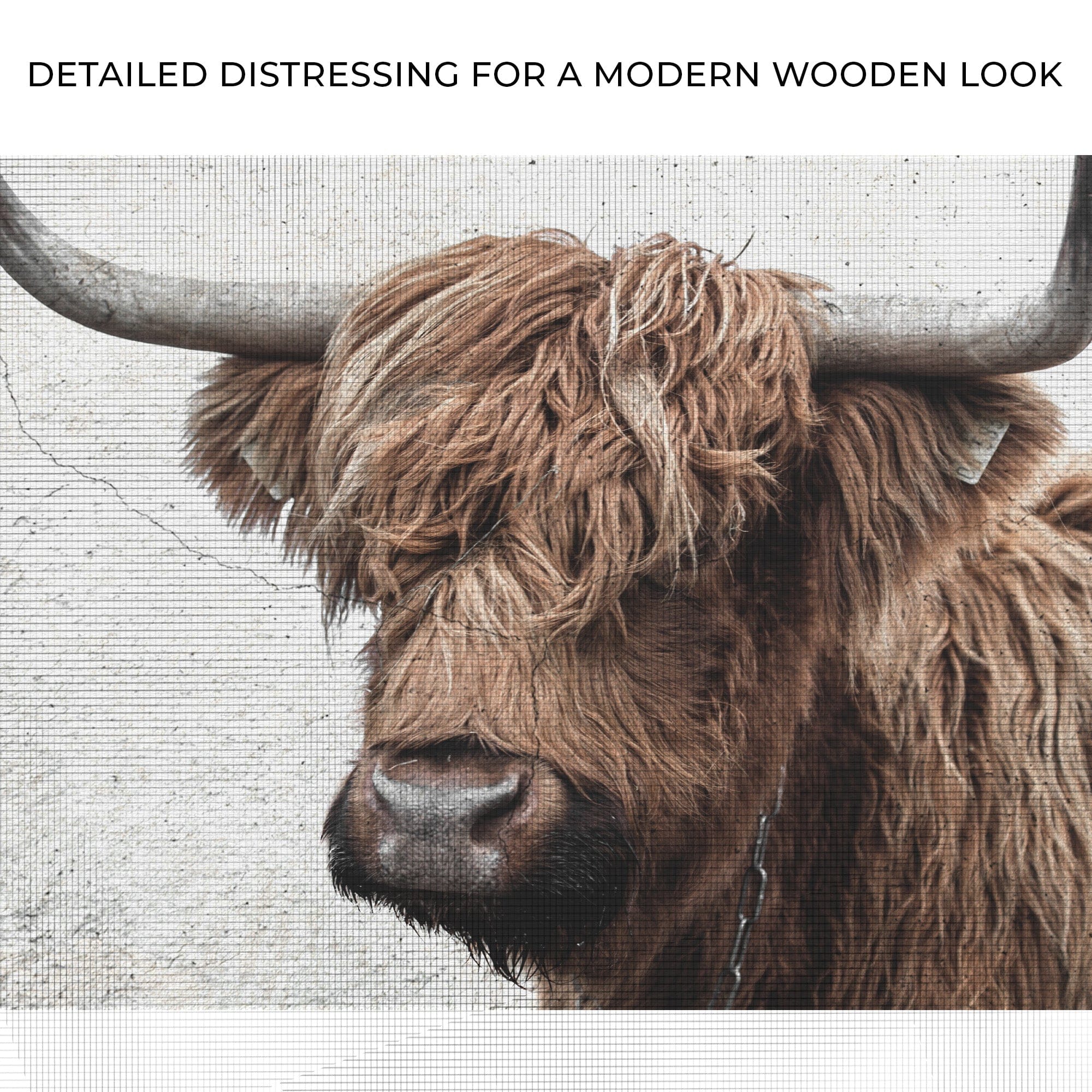 Tailored Canvases Canvas Natural Rustic Highland Cow Canvas Wall Art