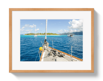 Johnny Vacay Oak / 11x14 / Border Paradise Found