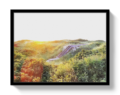 Nantucket Magic