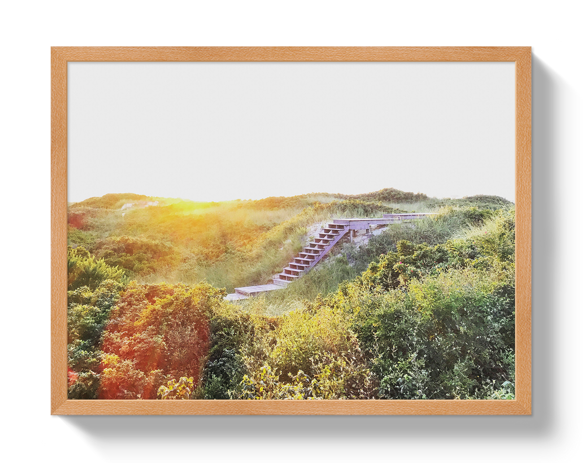 Nantucket Magic