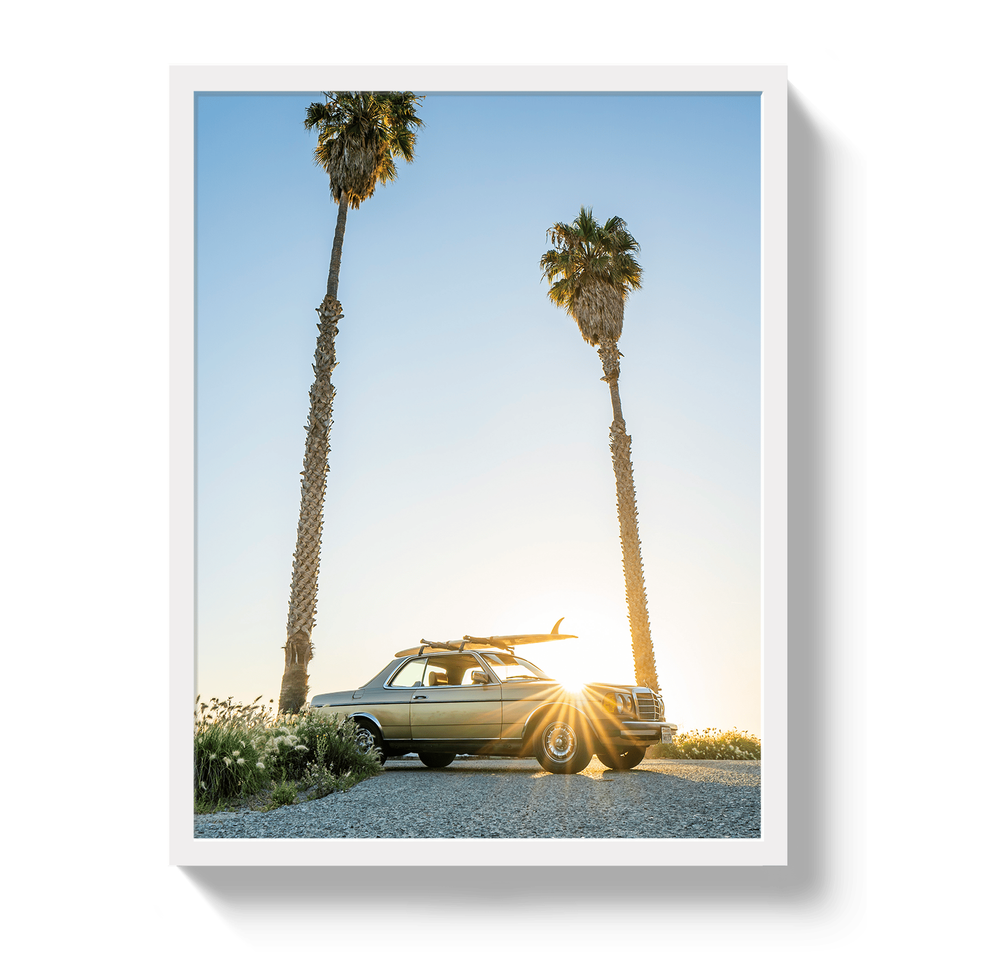Johnny Vacay White / 11x14 / Full Bleed The Benz