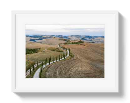 Johnny Vacay White / 11x14 / Border Road To Tuscany