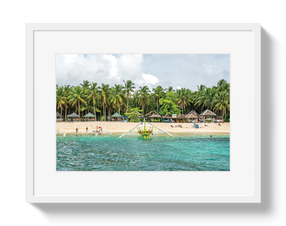 Palm Island