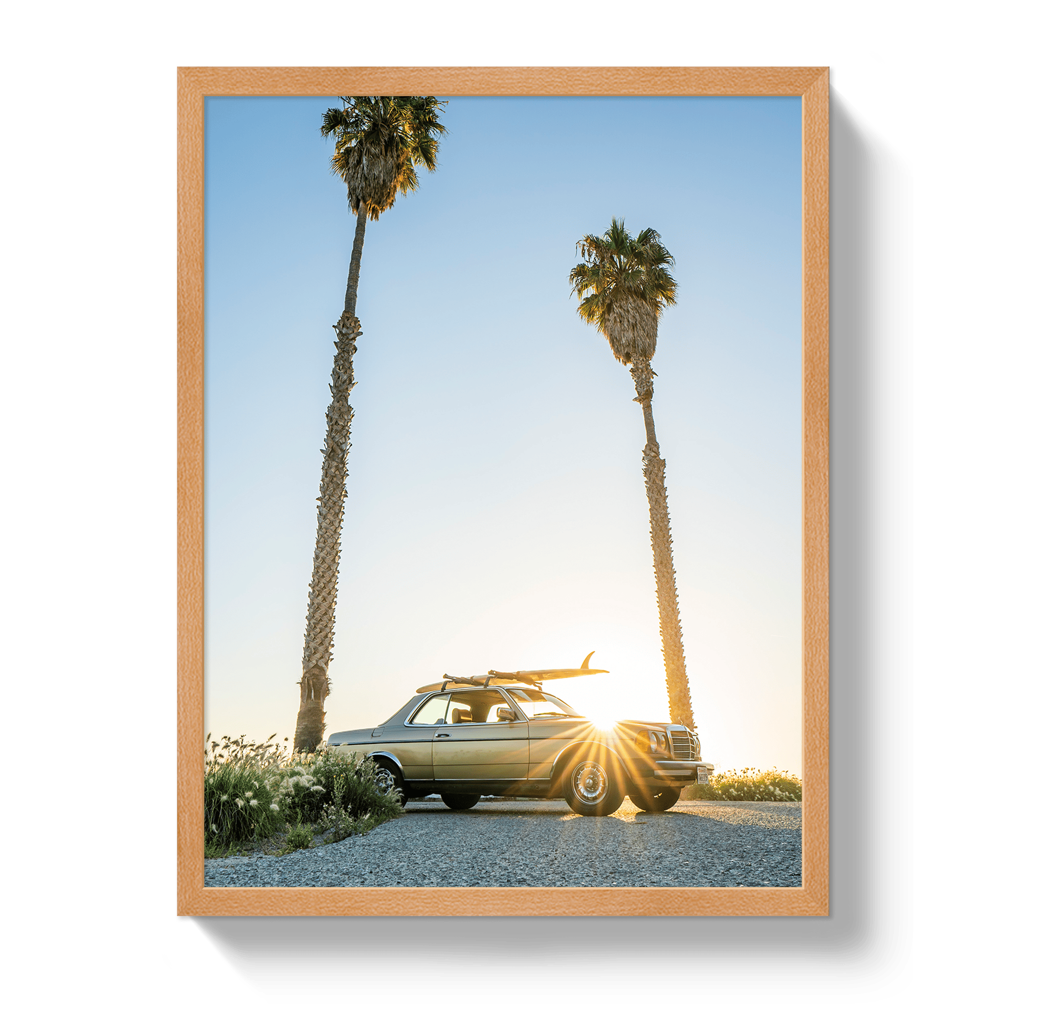Johnny Vacay Oak / 11x14 / Full Bleed The Benz