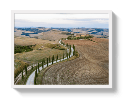 Johnny Vacay White / 11x14 / Full Bleed Road To Tuscany