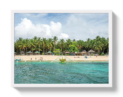 Palm Island