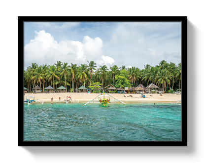 Palm Island