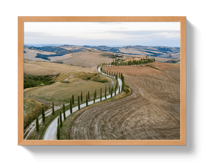 Johnny Vacay Oak / 11x14 / Full Bleed Road To Tuscany